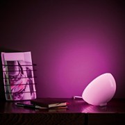 Philips hue Go Personal Wireless Lighting LED Table Lamp